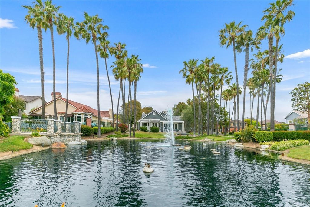 6051 Shadowbrook Circle Huntington Beach, CA 92648 - Photo 37 of 42 a view of lake with palm trees