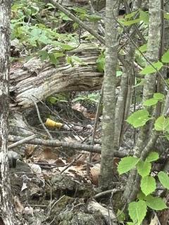 13 B Richardson Road Orrington, ME 04474 - Photo 9 of 10 IMG_0800