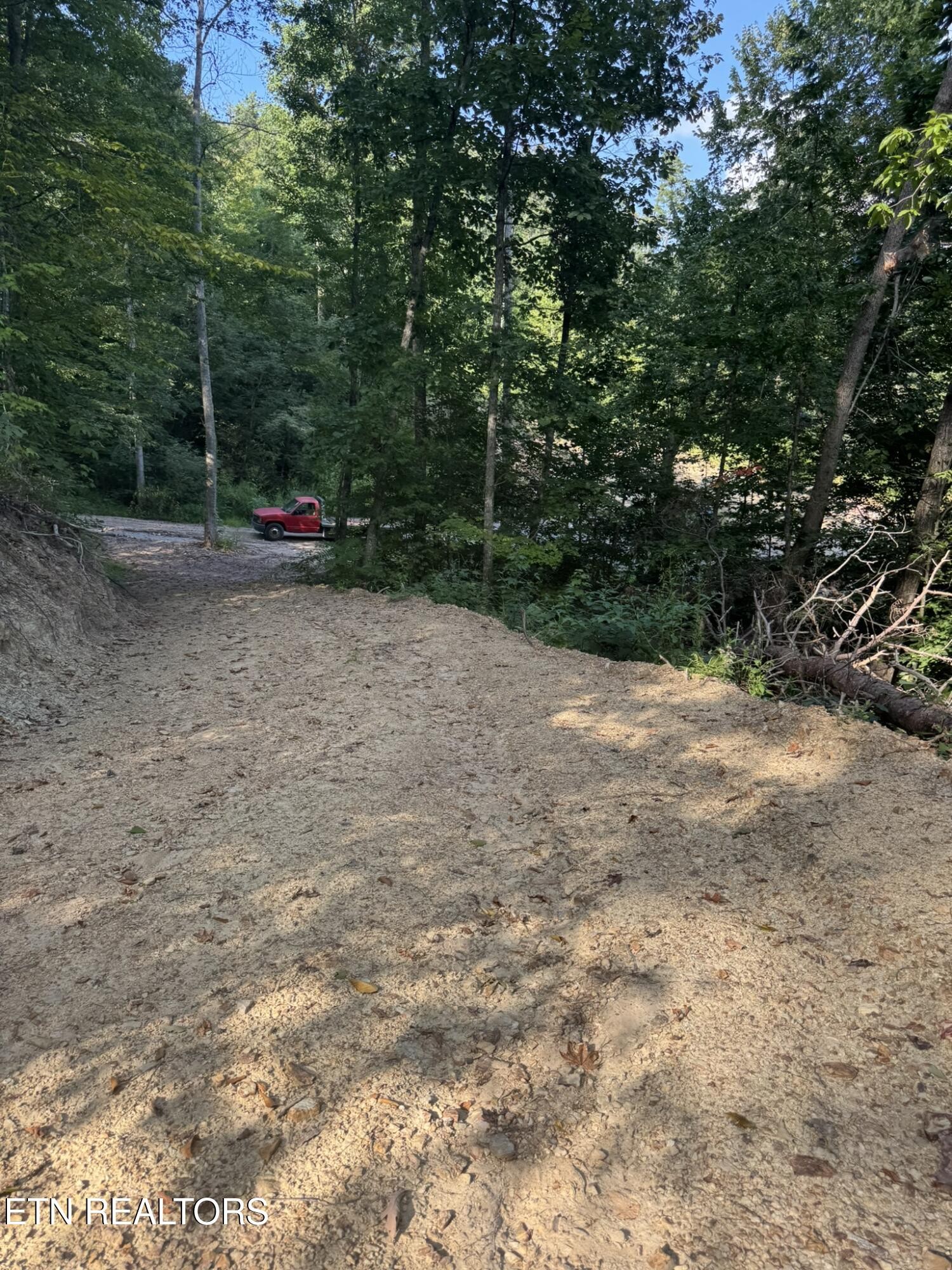 4 Texas Hollow Road Luttrell, TN 37779 - Photo 12 of 14 Gallery Image 12