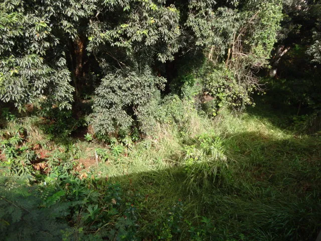 $750,000 | 4460 Lani Ikena Place, Unit 35, Kalaheo, HI 96741