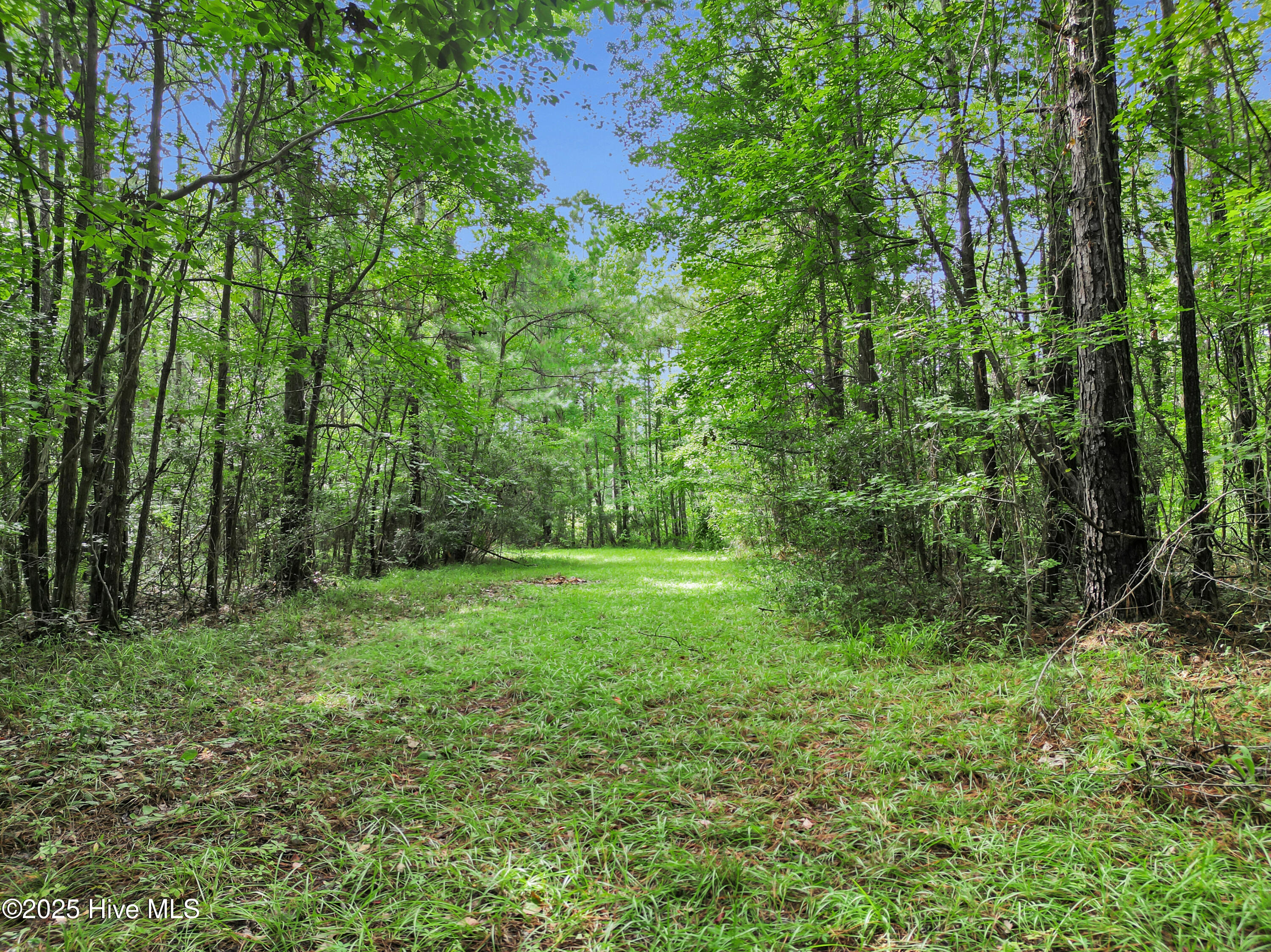 531 Sandy Point Drive Beaufort, NC 28516 - Photo 7 of 21 8