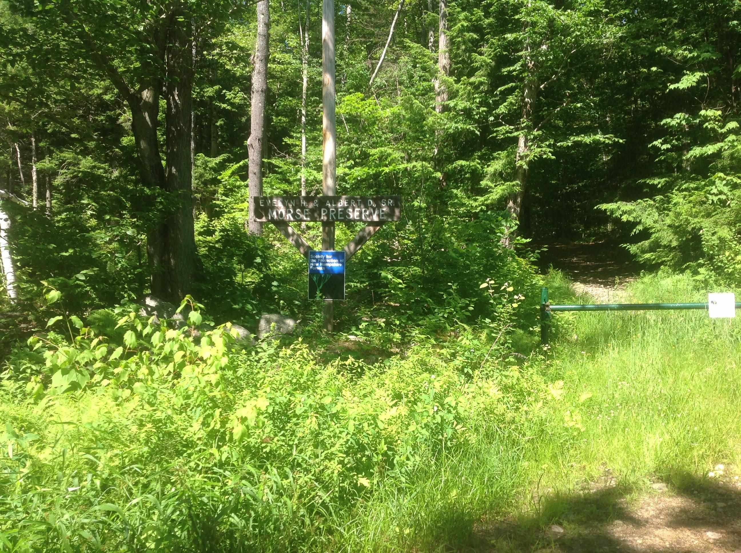 72-3 Frohock Brook Road Alton Bay, NH 03810 - Photo 30 of 31 Gallery Image 30