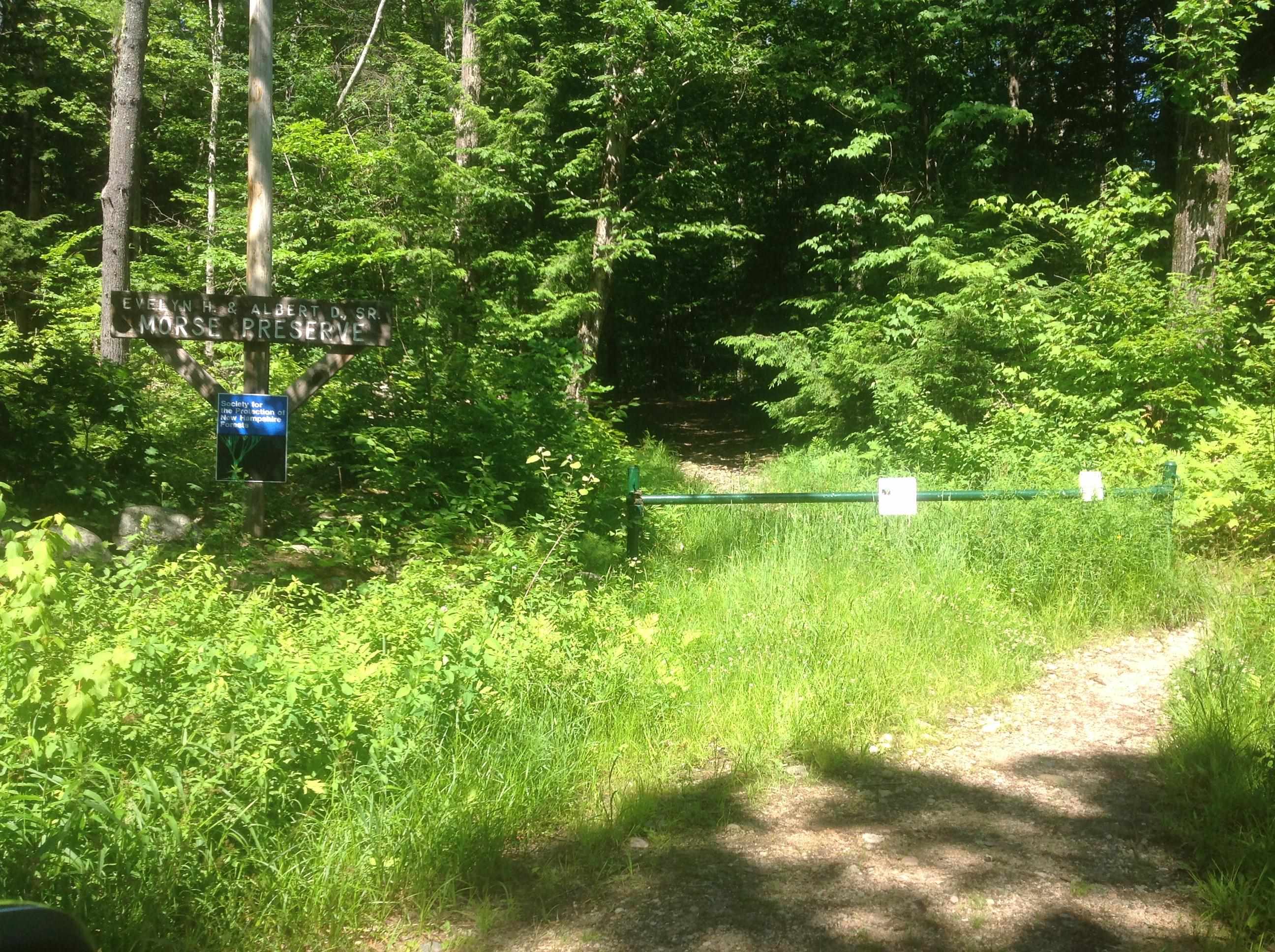 72-3 Frohock Brook Road Alton Bay, NH 03810 - Photo 31 of 31 Gallery Image 31