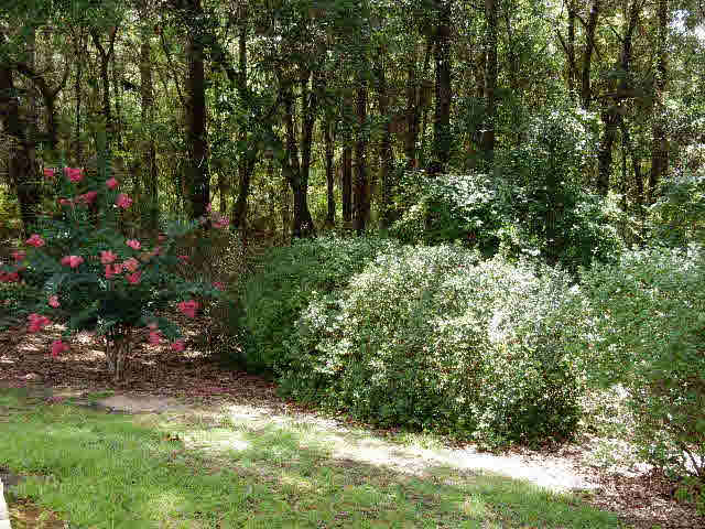 1773 Cristo Loop Lillian, AL 36549 - Photo 33 of 33