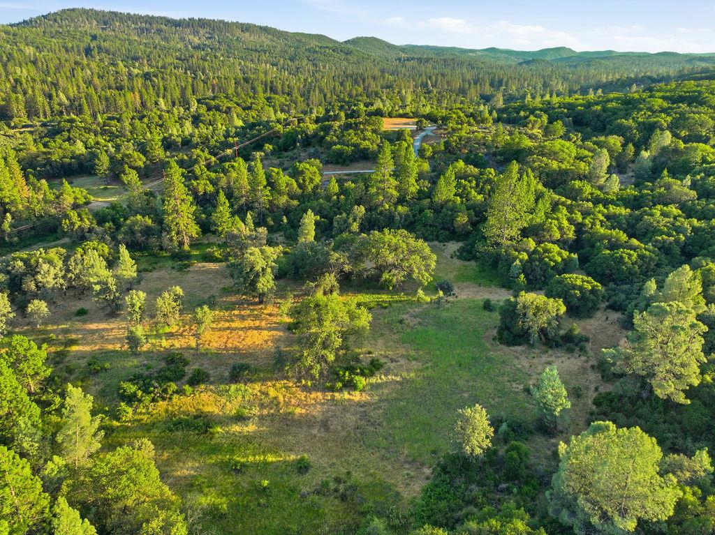 12998 Tyler Foote Road Nevada City, CA 95959 - Photo 25 of 33 a view of a garden with an ocean