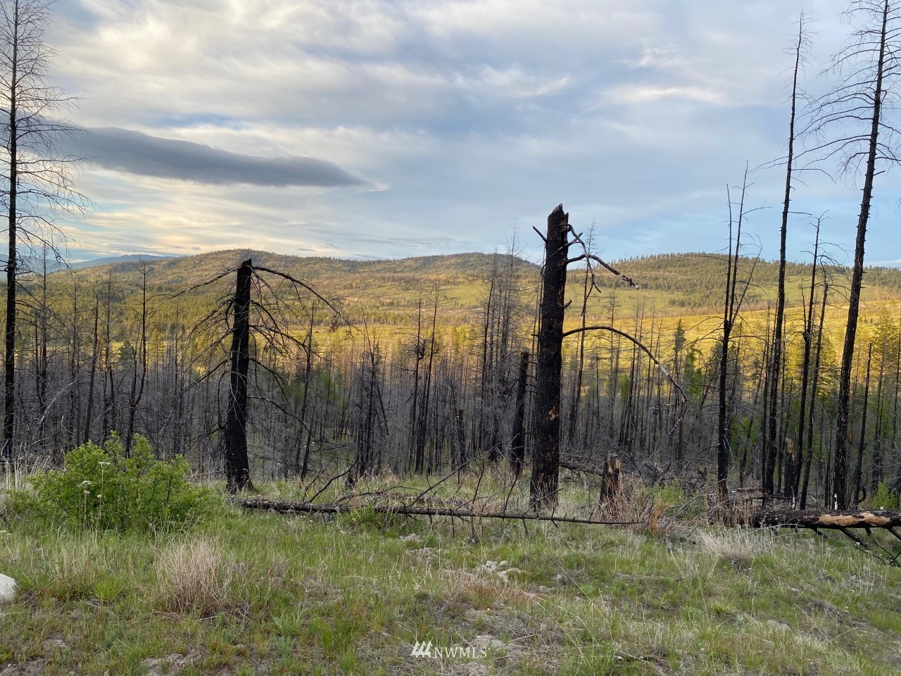 222tbd Red Feather Road, Riverside, WA 98849 Compass