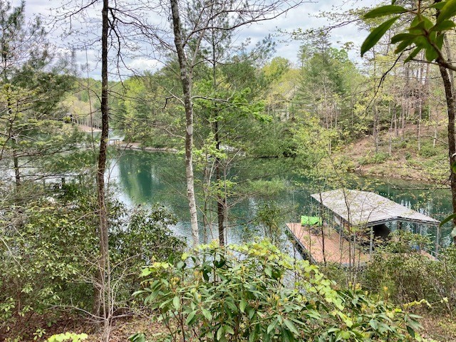 265 Jocassee Point Road, Unit LOT J20 Salem, SC 29676 - Photo 2 of 10 Gallery Image 2