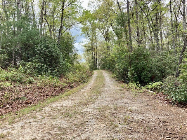 265 Jocassee Point Road, Unit LOT J20 Salem, SC 29676 - Photo 8 of 10 Gallery Image 8