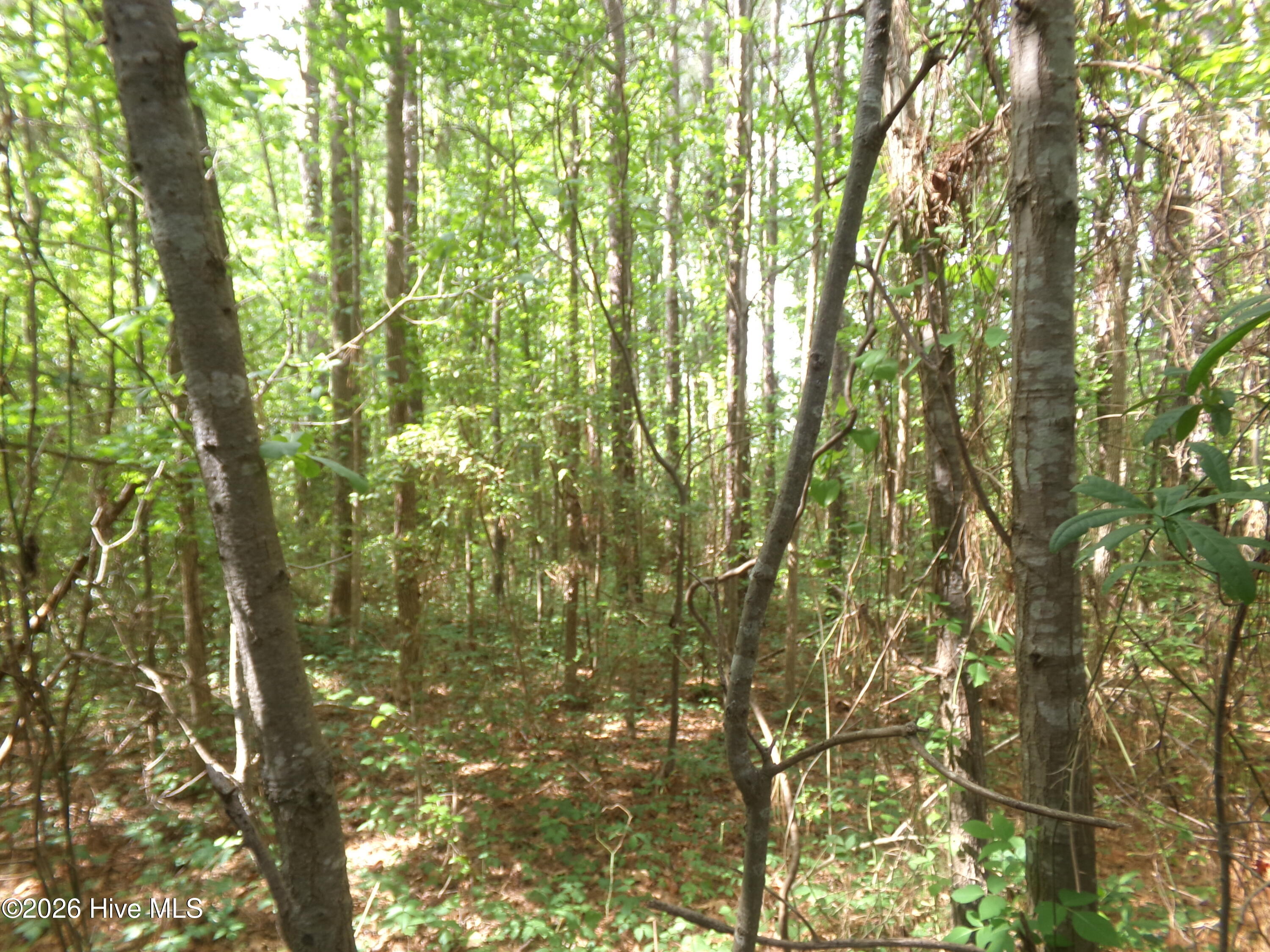 0 Pages Lake Road St. Pauls, NC 28384 - Photo 2 of 4 139_1140