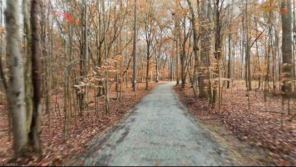 0 Commonwealth Road Randleman, NC 27317 - Photo 13 of 27 Gallery Image 13