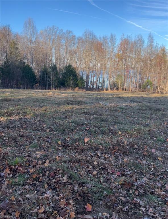 0 Commonwealth Road Randleman, NC 27317 - Photo 24 of 27 Gallery Image 24