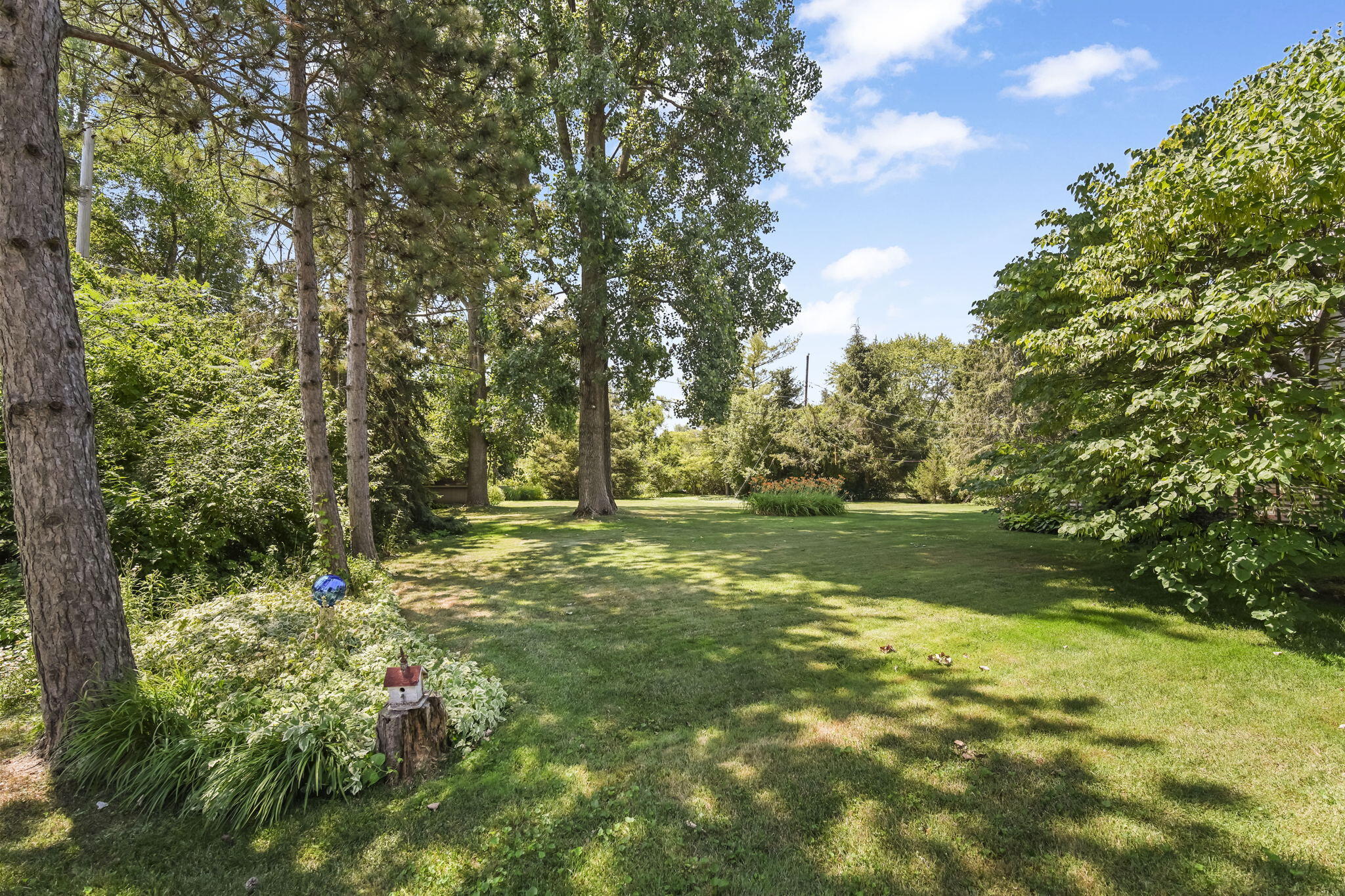 3759 Northmeadow Road Jackson, MI 49201 - Photo 4 of 34 DSC09848