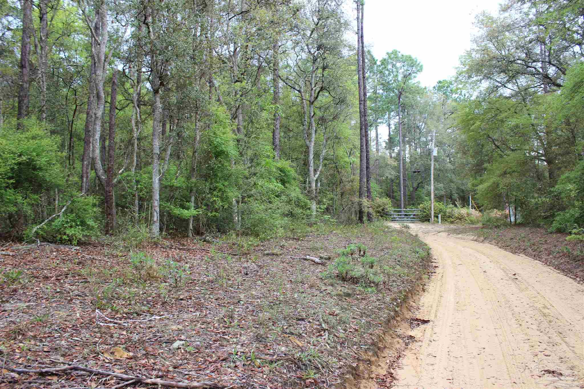 Lot 507 East Four Point Road Holt, FL 32564 - Photo 8 of 20 Gallery Image 8