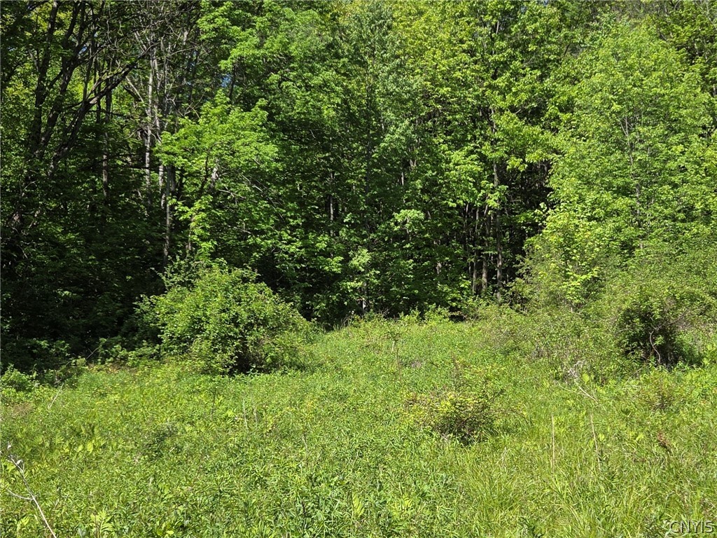 446 Nys Route Cuba, NY 14727 - Photo 21 of 47