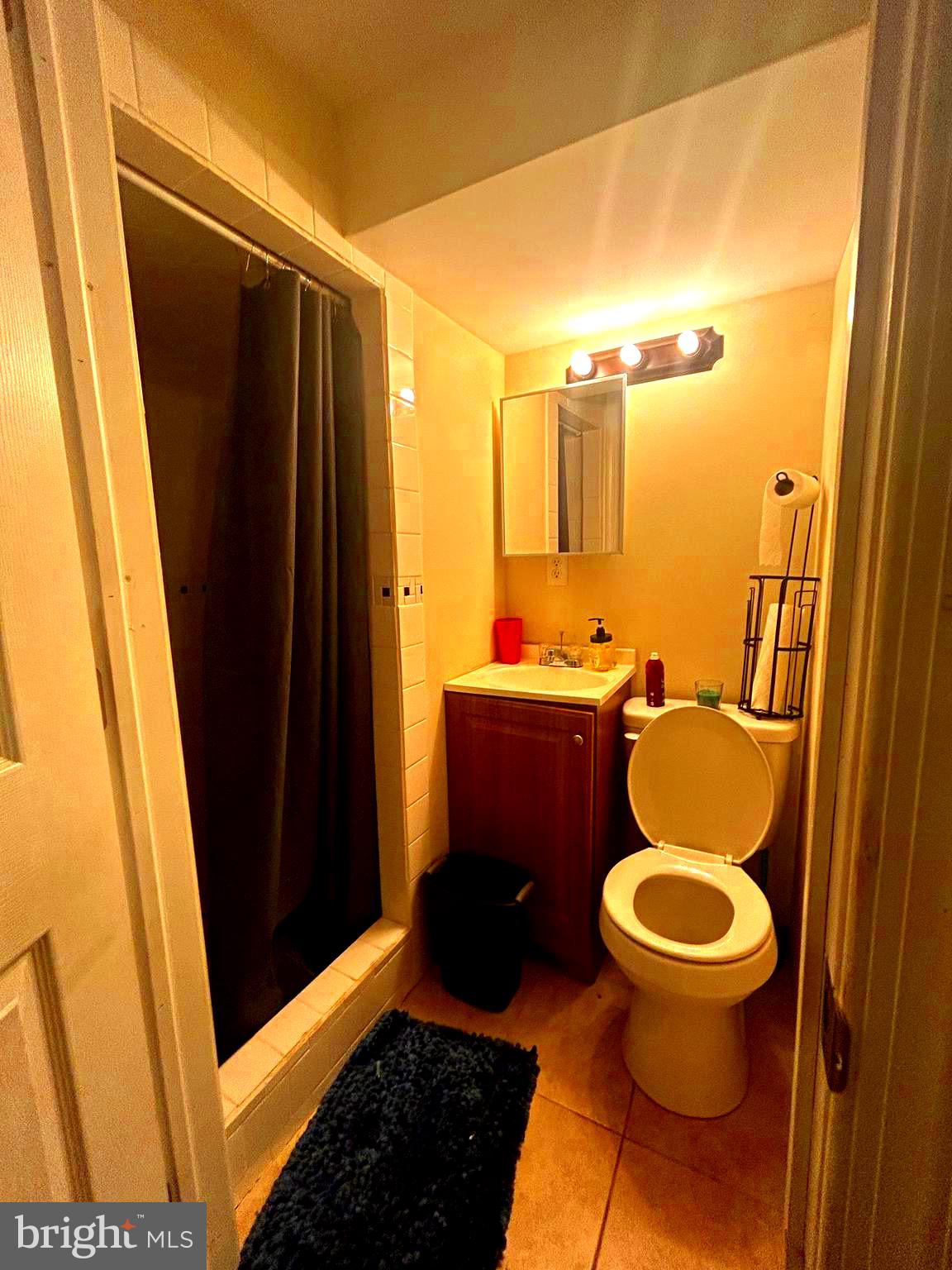 7070 Radbourne Road Upper Darby, PA 19082 - Photo 11 of 13 Lower bathroom