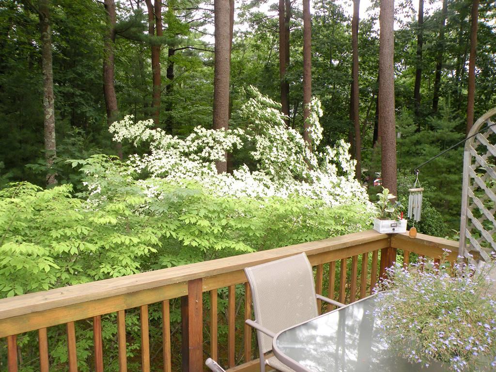 3 Fieldstone Court, Unit 3 Portland, ME 04103 - Photo 30 of 39 Lush landscaping off sundeck