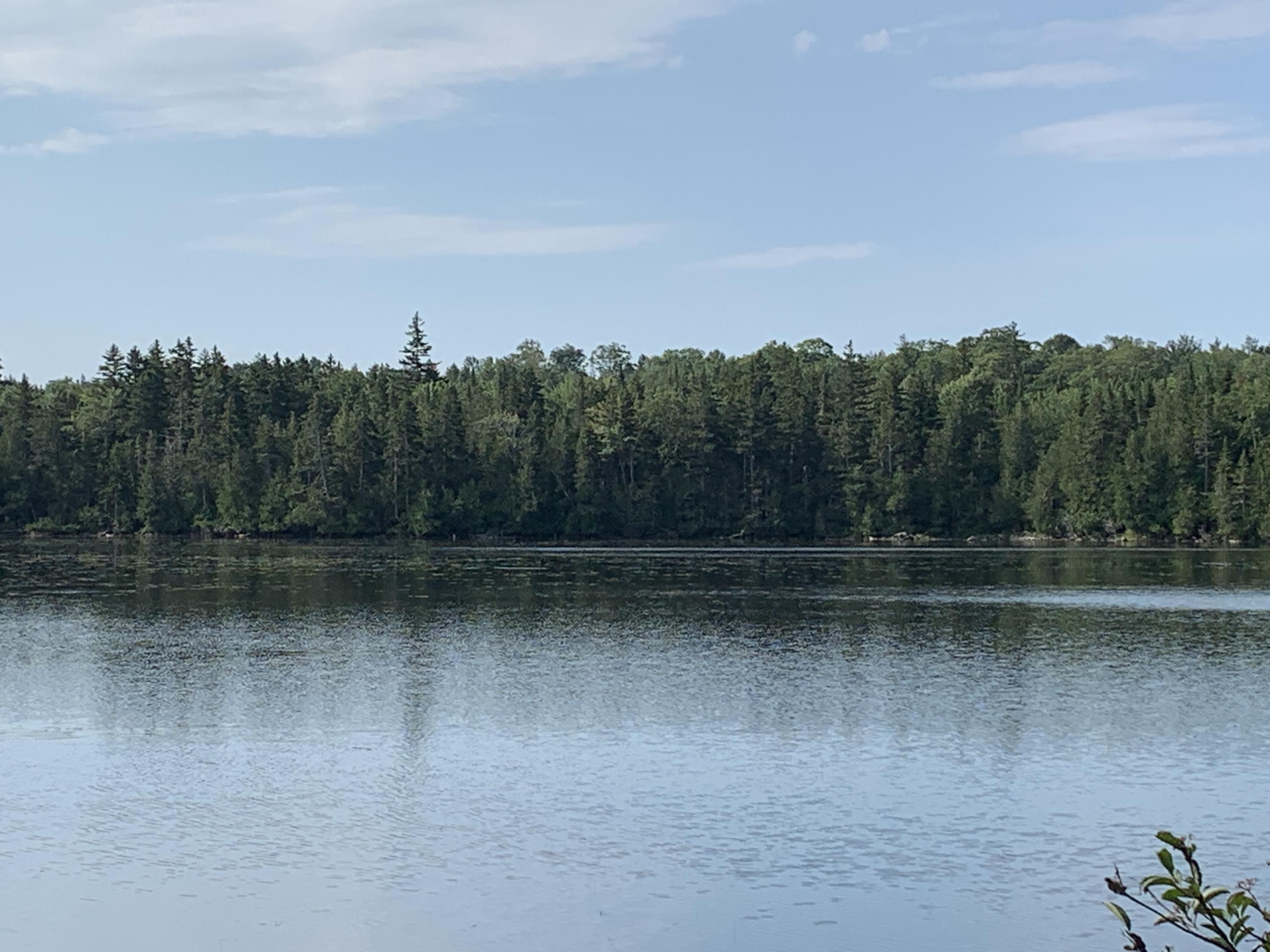 Tbd Heald Pond Road Caratunk, ME 04925 - Photo 5 of 21 IMG_6588