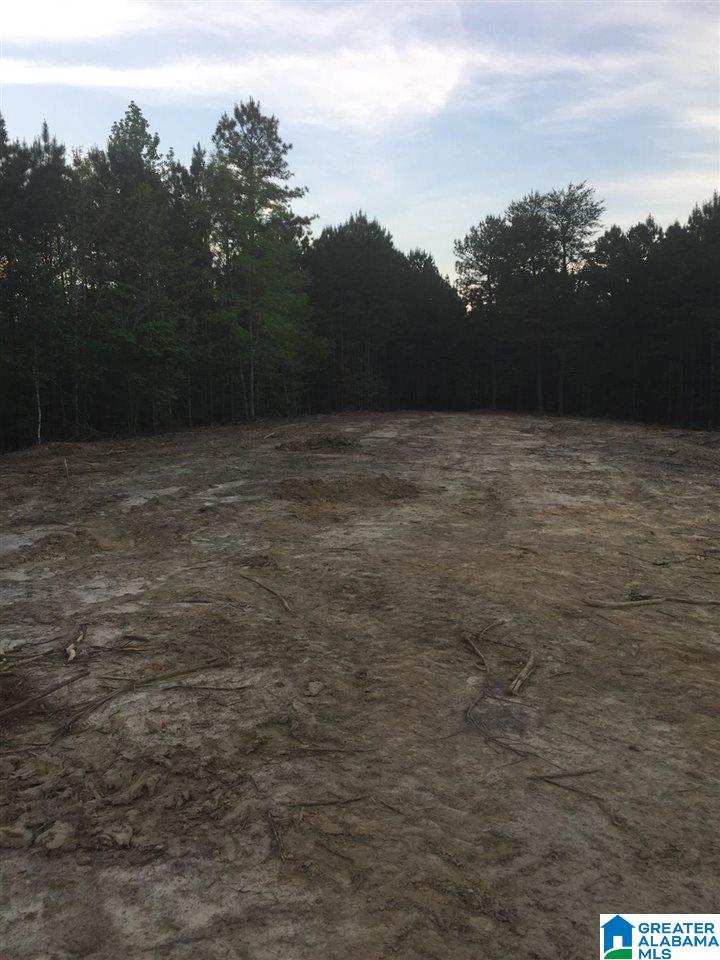 1009 Deaver Walker Road, Unit 1009 Trafford, AL 35172 - Photo 3 of 4