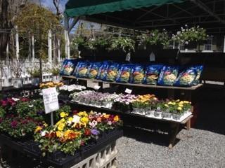 182 Ost -w Barn Road Osterville, MA 02655 - Photo 16 of 19 a market with a variety of fruits and vegetables