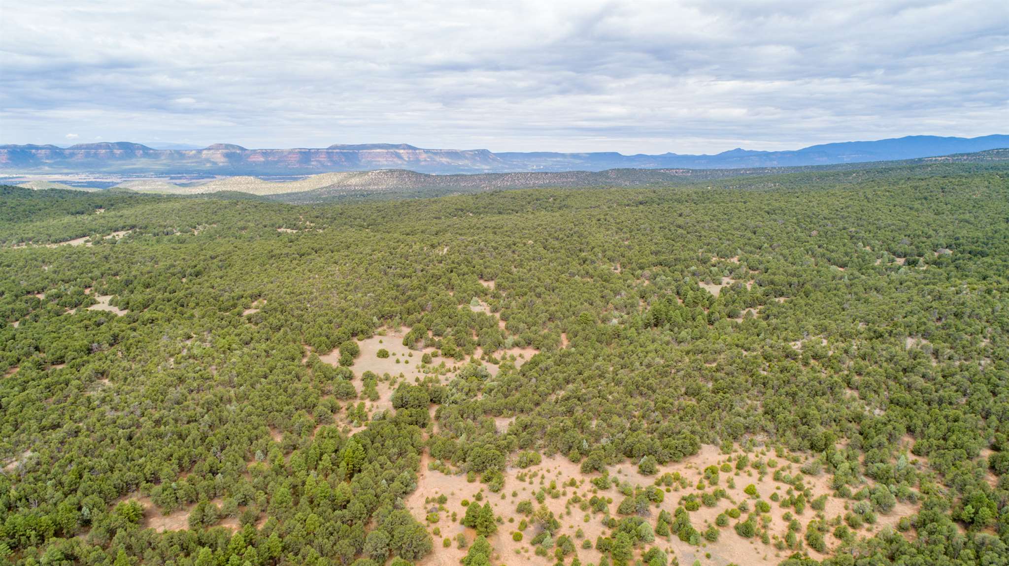 83 Pecos Barillas Road Pecos, NM 87552 - Photo 22 of 54 Gallery Image 22