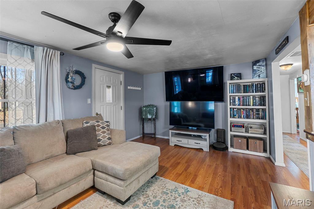 428 Mandeville Morley, MO 63771 - Photo 11 of 25