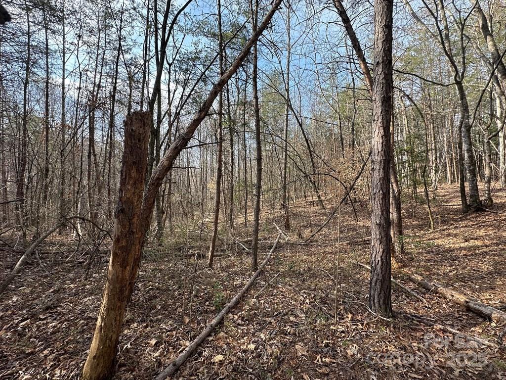 0 Sunshine Acres Road Sylva, NC 28779 - Photo 3 of 7 a view of a yard with trees