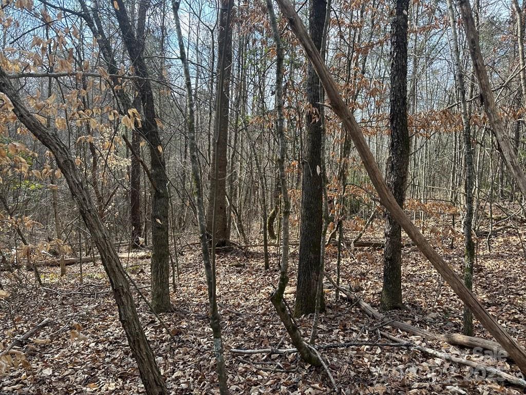 0 Sunshine Acres Road Sylva, NC 28779 - Photo 4 of 7 a view of a yard with lots of trees