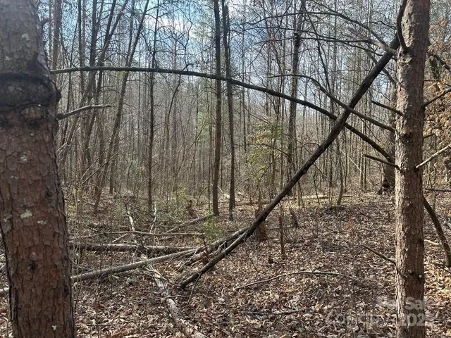 a view of swimming pool with wooden fence