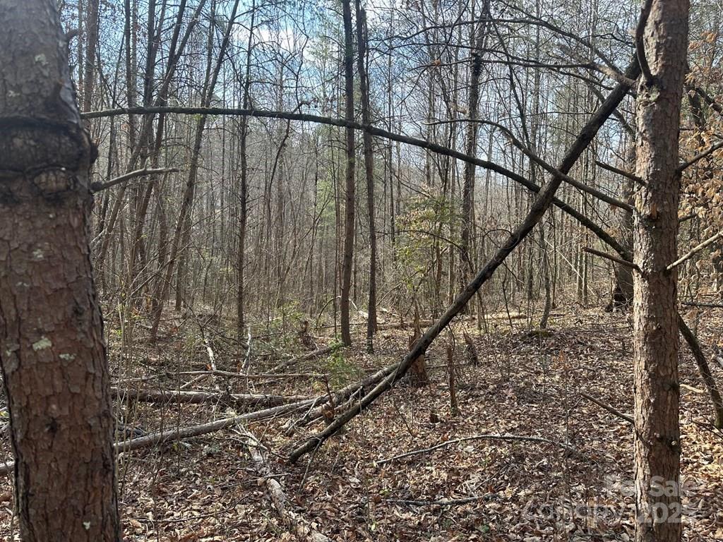 0 Sunshine Acres Road Sylva, NC 28779 - Photo 7 of 7 a view of swimming pool with wooden fence