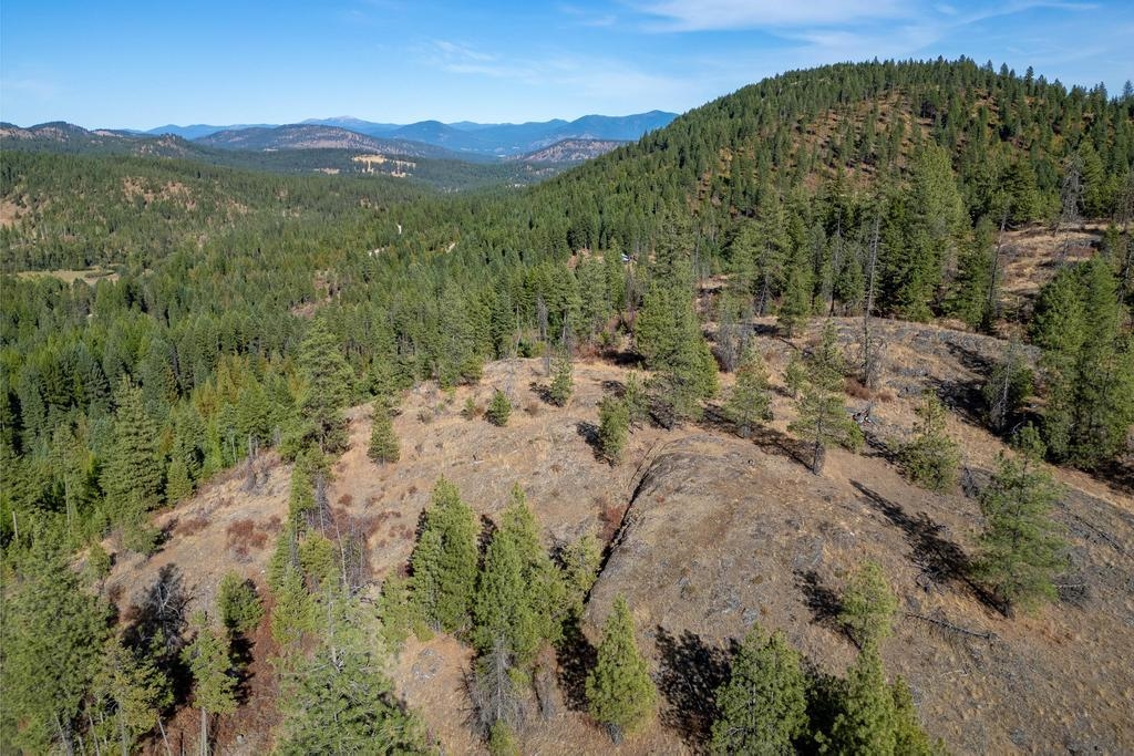 3401 Red Marble Road Valley, WA 99181 - Photo 16 of 49