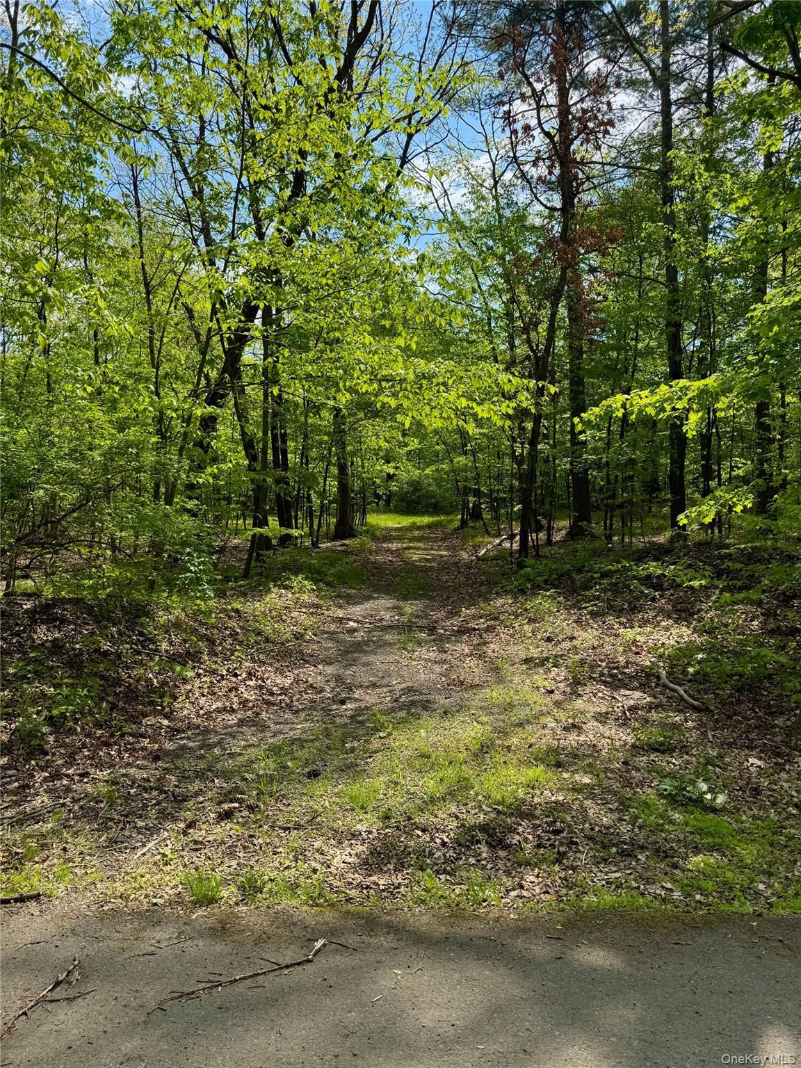Tbd Bill Matter Road Climax, NY 12042 - Photo 5 of 19 a fire hydrant in the middle of a field