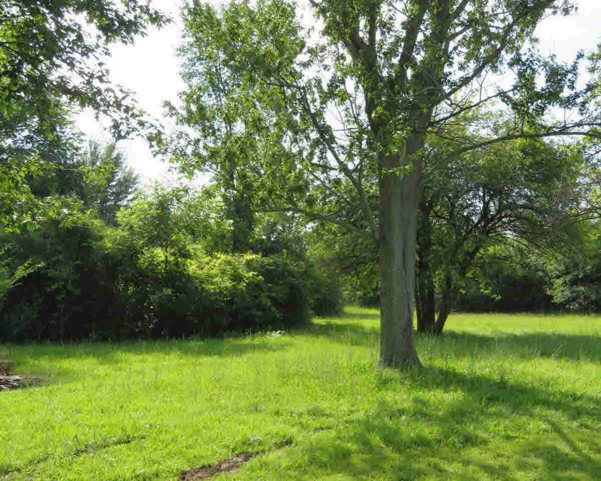 6121 North Jennings Road Mount Morris, MI 48458 - Photo 33 of 41 21341525-32.JPG
