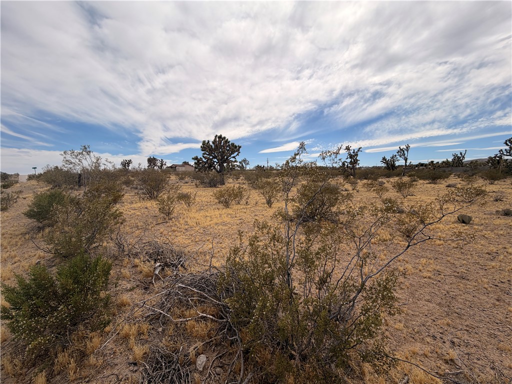 17773 Laurel Road Dolan Springs, AZ 86441 - Photo 3 of 9