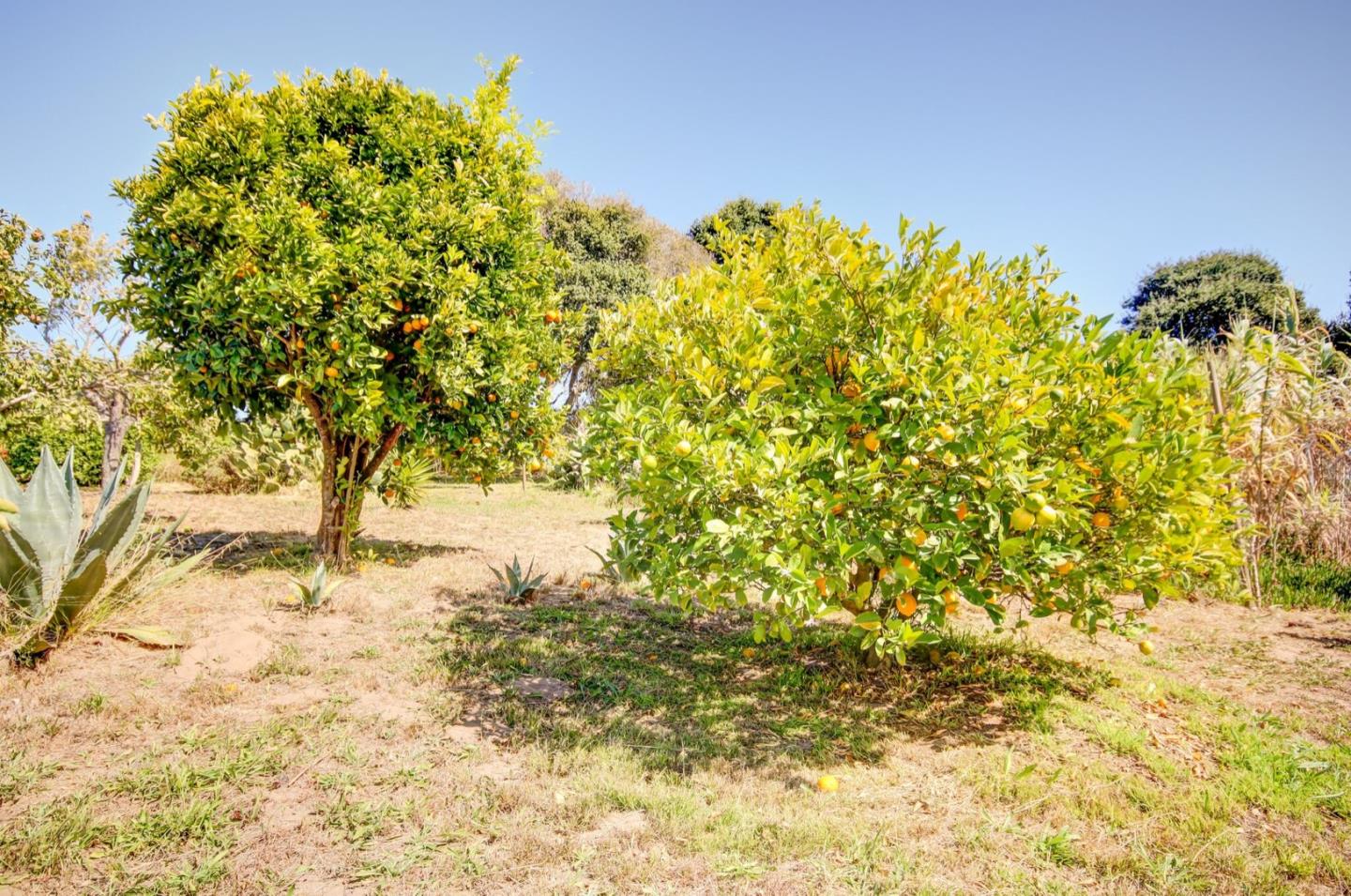 18354 Meadow Ridge Road Salinas, CA 93907 - Photo 43 of 50 Gallery Image 43