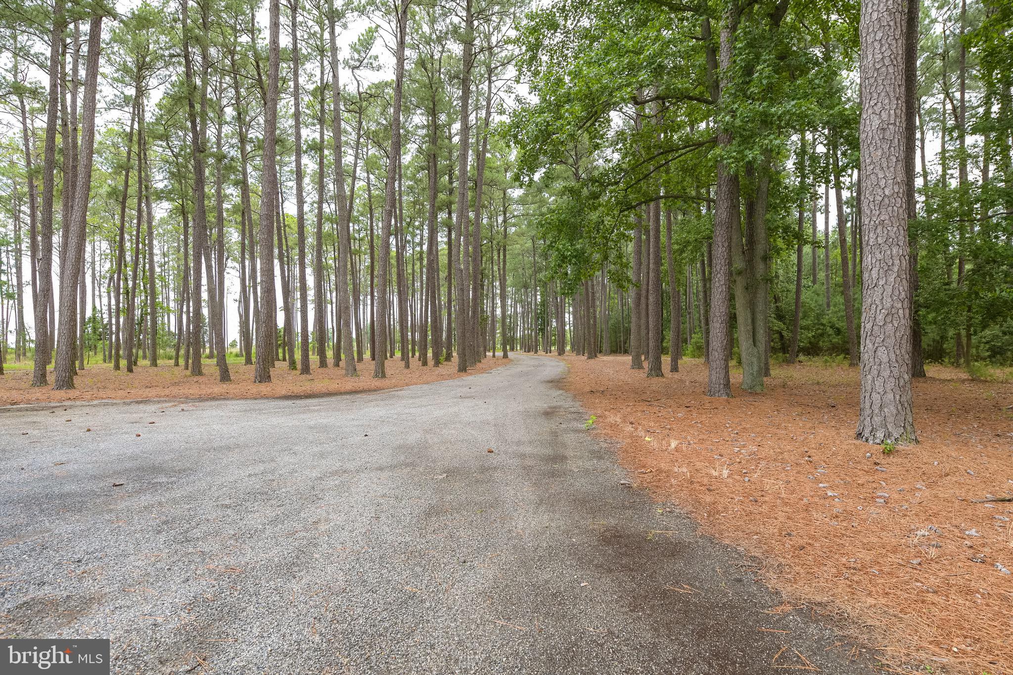 5233 Ragged Point Road Cambridge, MD 21613 - Photo 65 of 65