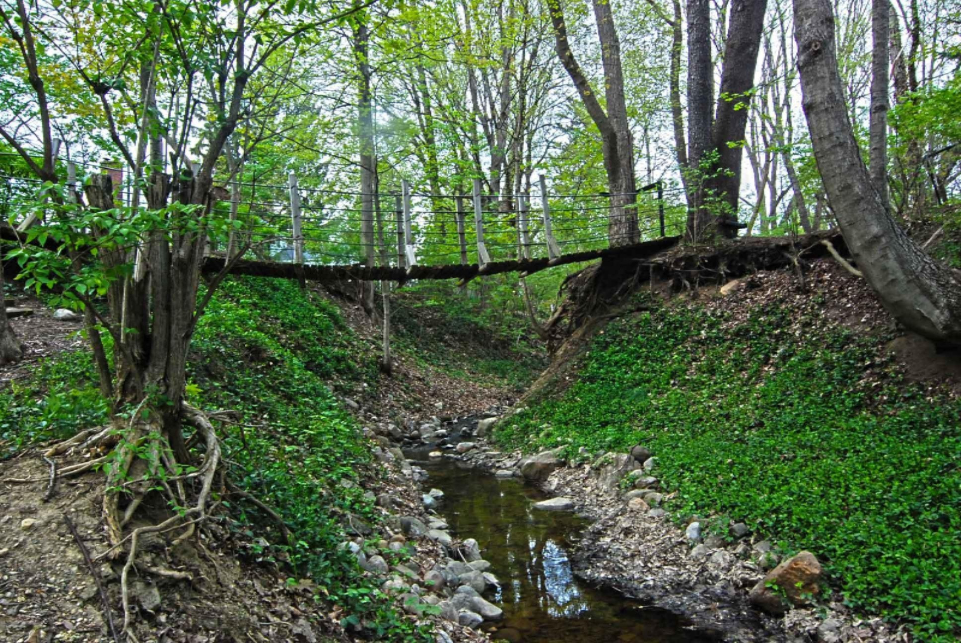 905 Topinabee Road Niles, MI 49120 - Photo 8 of 52 DSC_1558