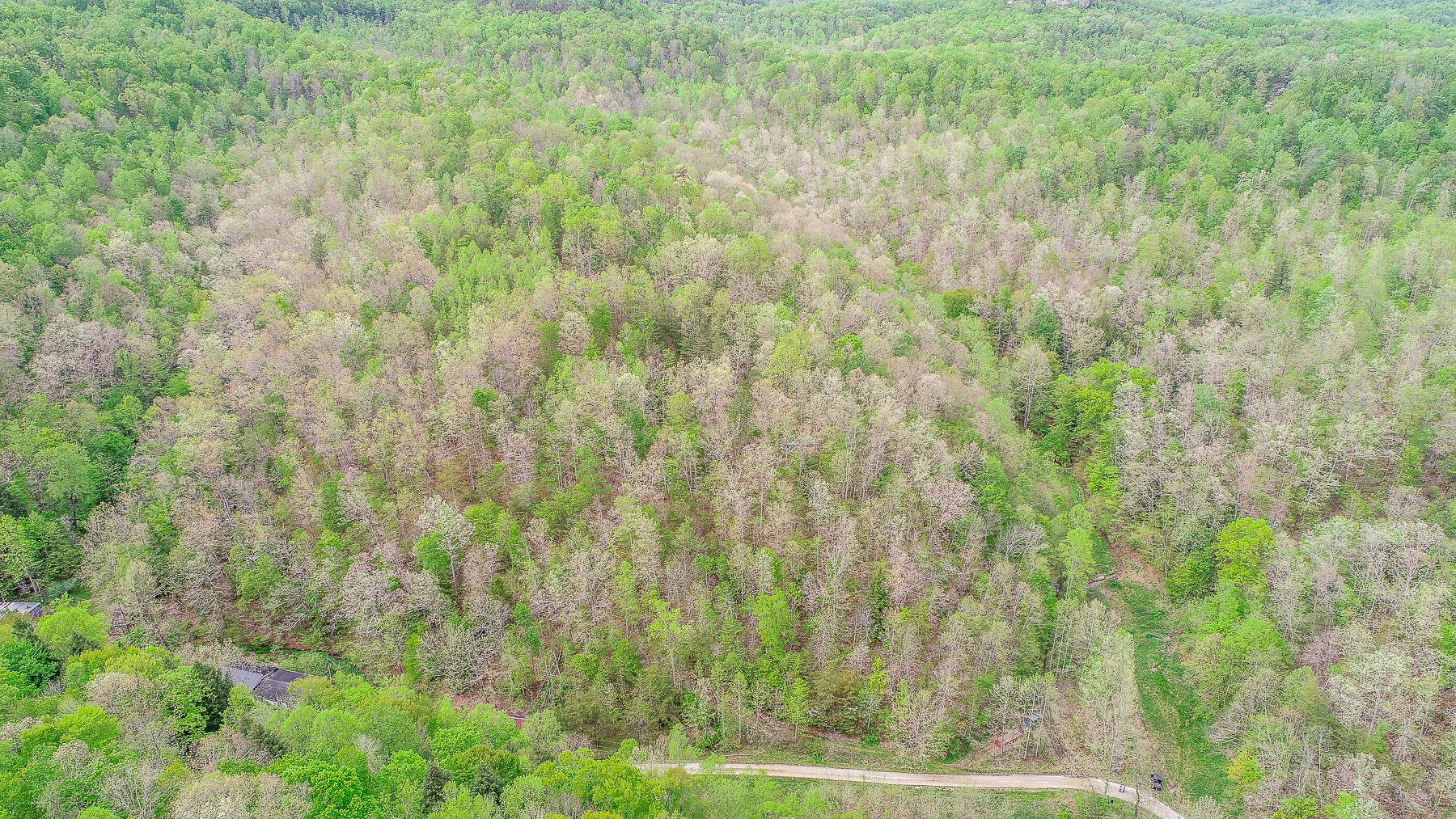 2592 Ratliff Branch Road Frenchburg, KY 40322 - Photo 27 of 30 DJI_0611