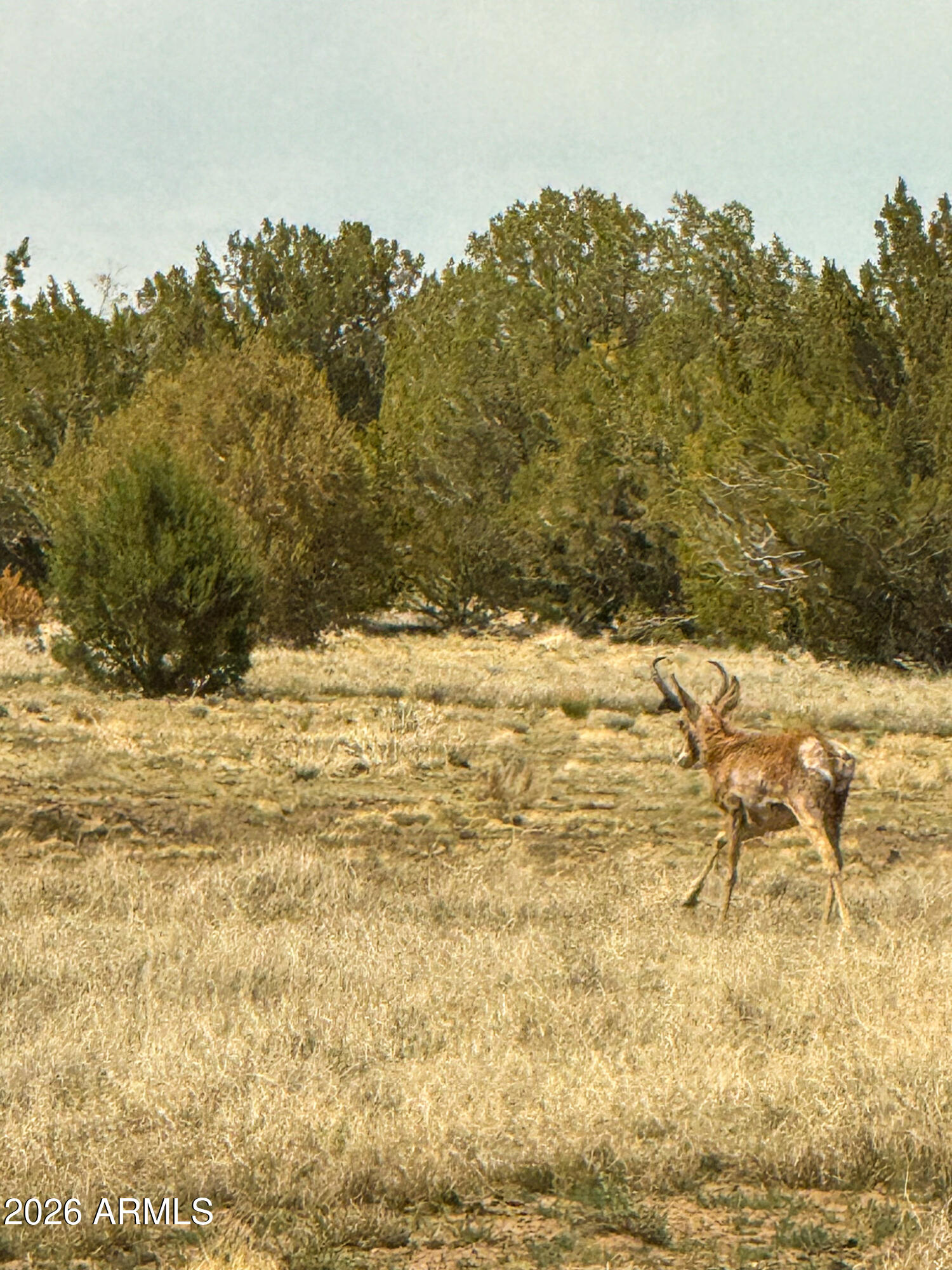 0 West Mile High Road, Unit 84 Ash Fork, AZ 86320 - Photo 25 of 27