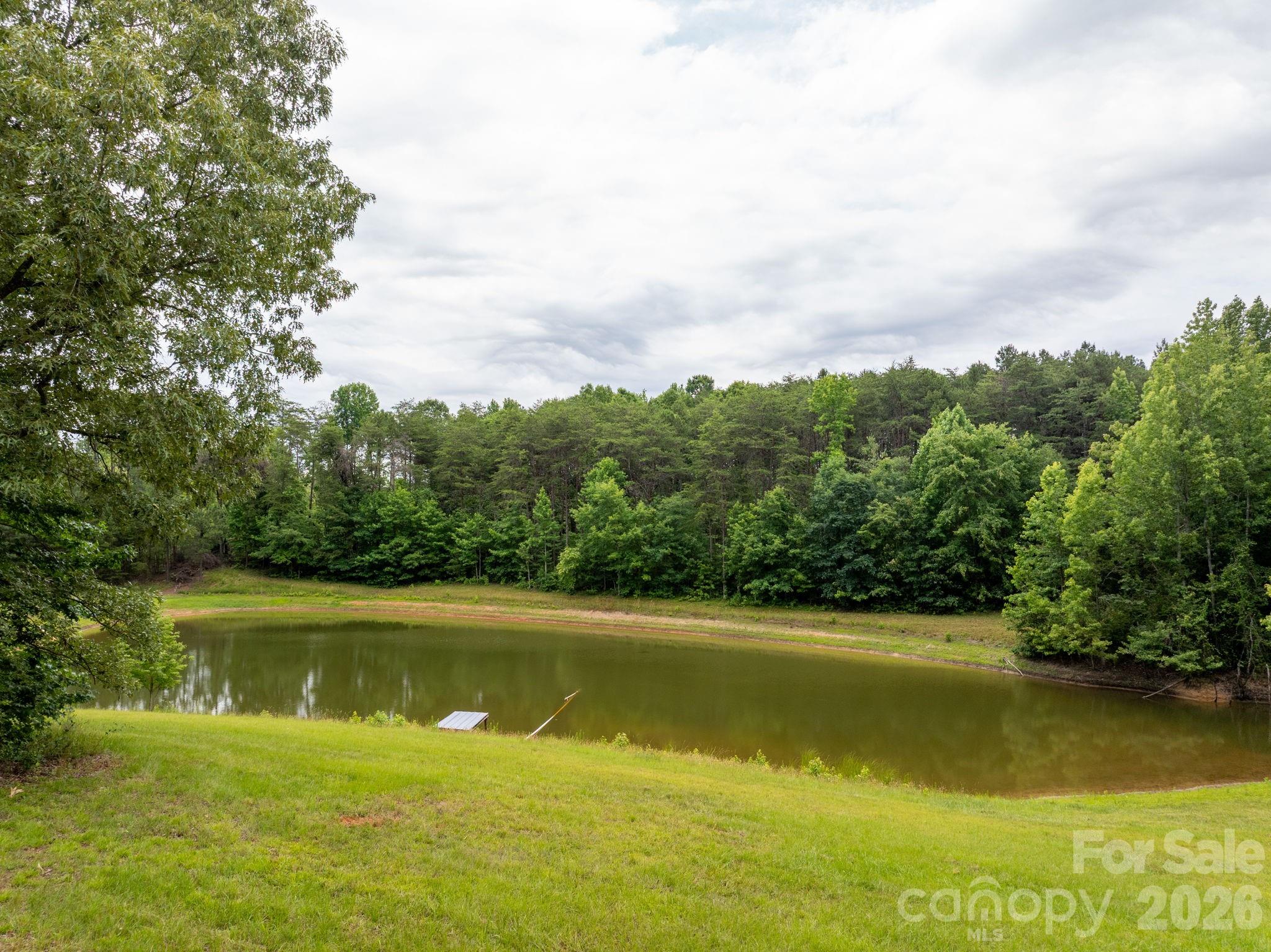 1350 Lee Cudd Road Rutherfordton, NC 28139 - Photo 9 of 38