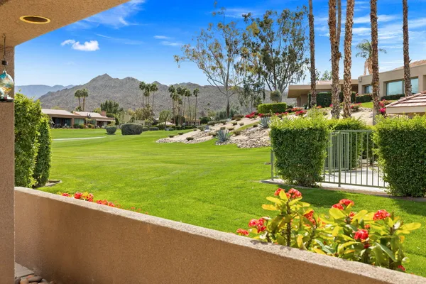 a view of a garden with a flower garden