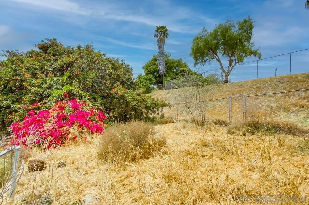 6316 Streamview Drive San Diego, CA 92115 - Photo 52 of 52 a view of a flower arrangement in backyard