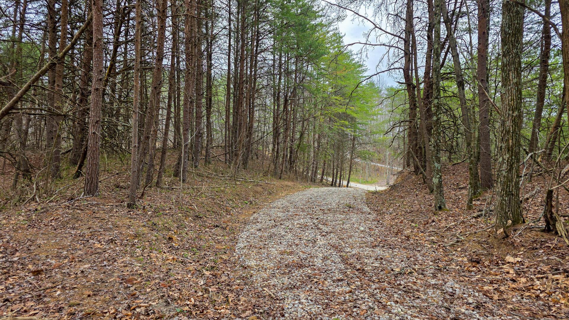 818 Campaign Poplar Road, Unit PONDS POPLAR RIDGE TRACT 4) Gallipolis, OH 45631 - Photo 23 of 24 CT-23