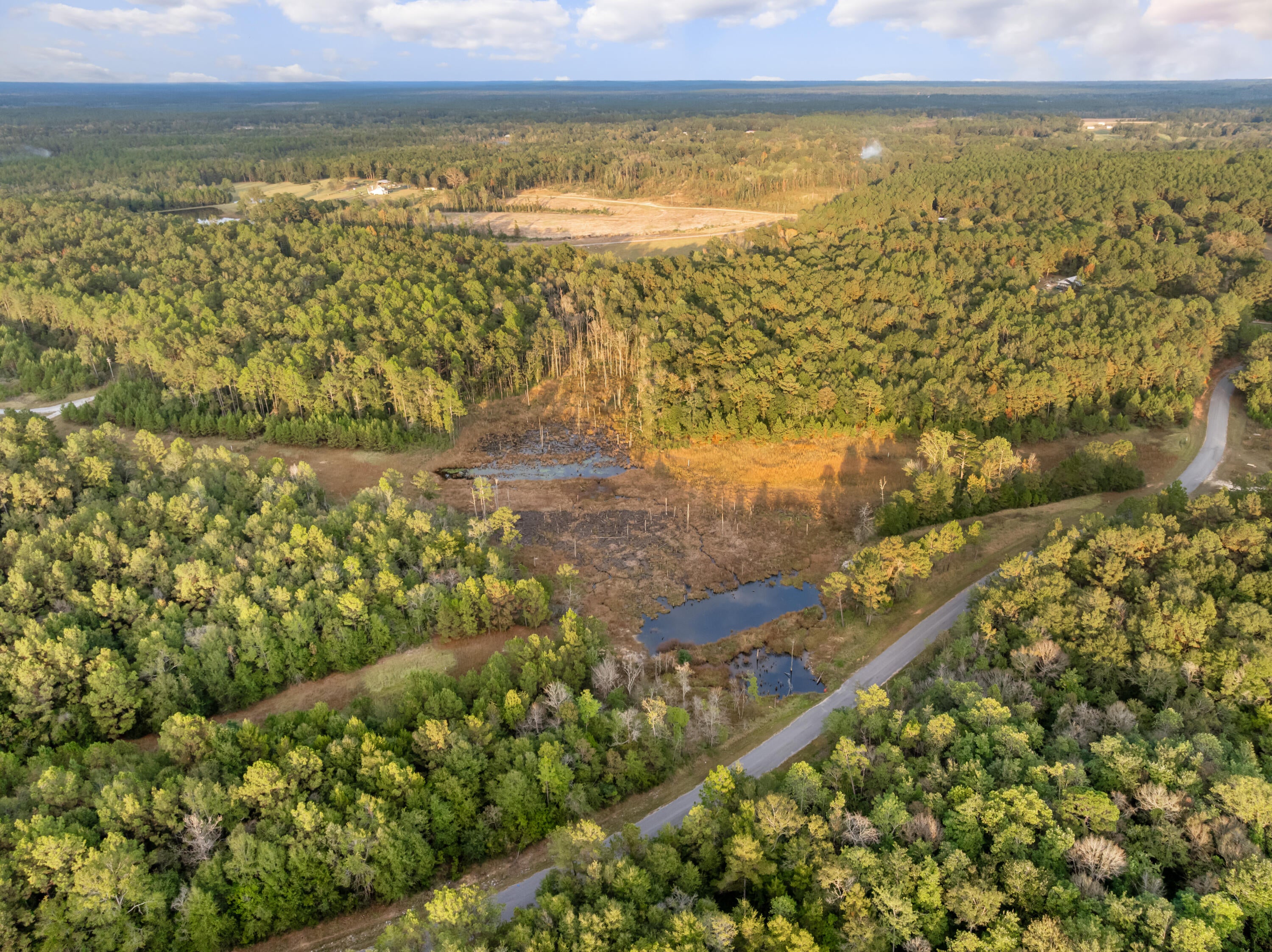 10.4 Pete Miles Road Lucedale, MS 39452 - Photo 21 of 25 00_Pete_Miles_Rd-21