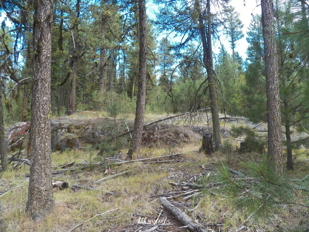 1104 Fs3525 Road Tonasket, WA 98855 - Photo 3 of 11 Gallery Image 3