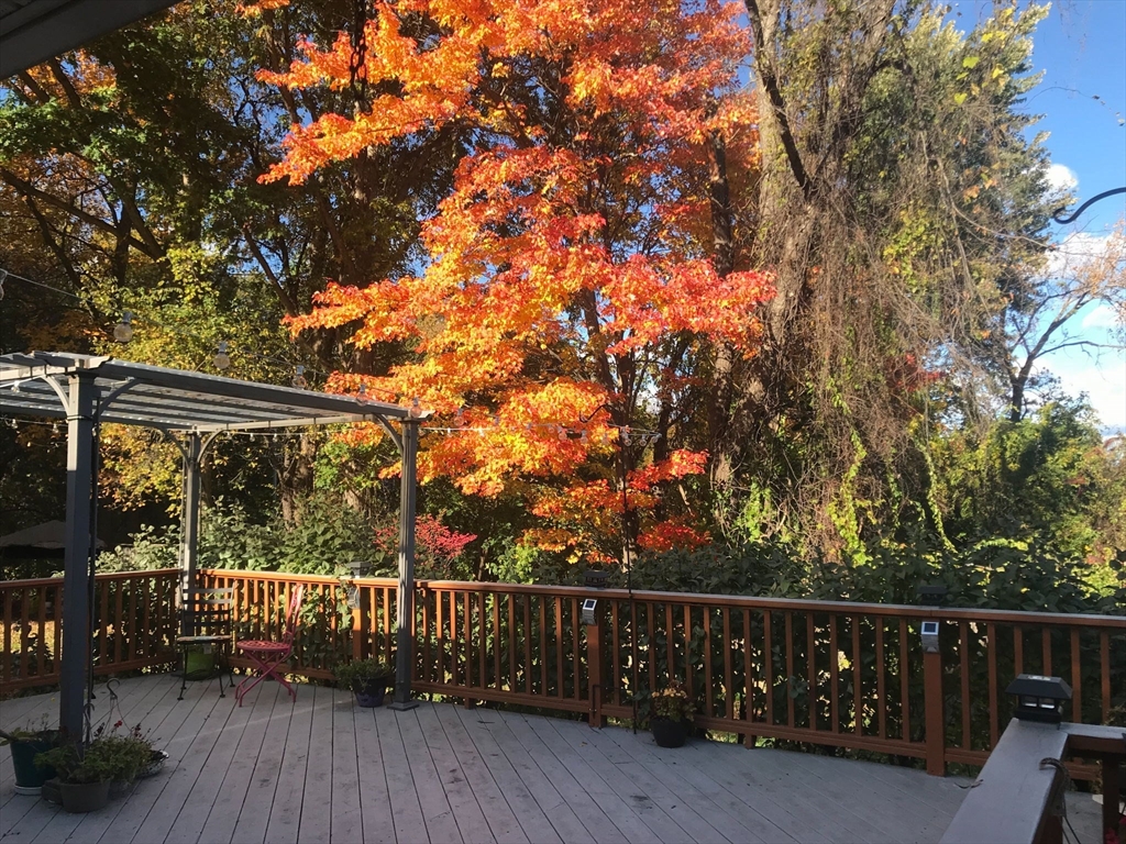 21 Trinity Avenue Worcester, MA 01605 - Photo 13 of 38