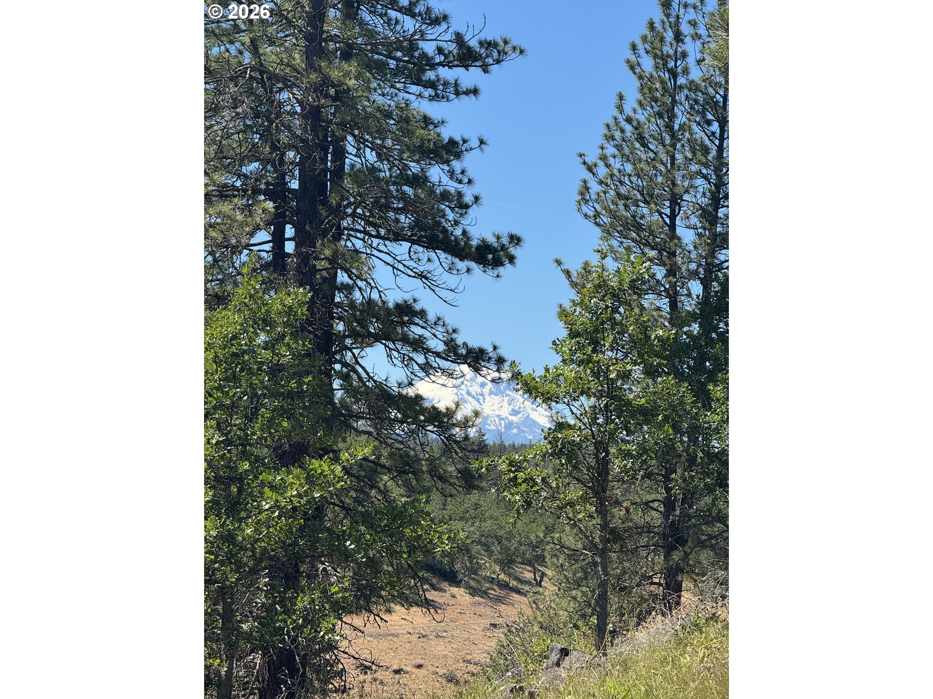 Zelinski Road Goldendale, WA 98620 - Photo 15 of 15