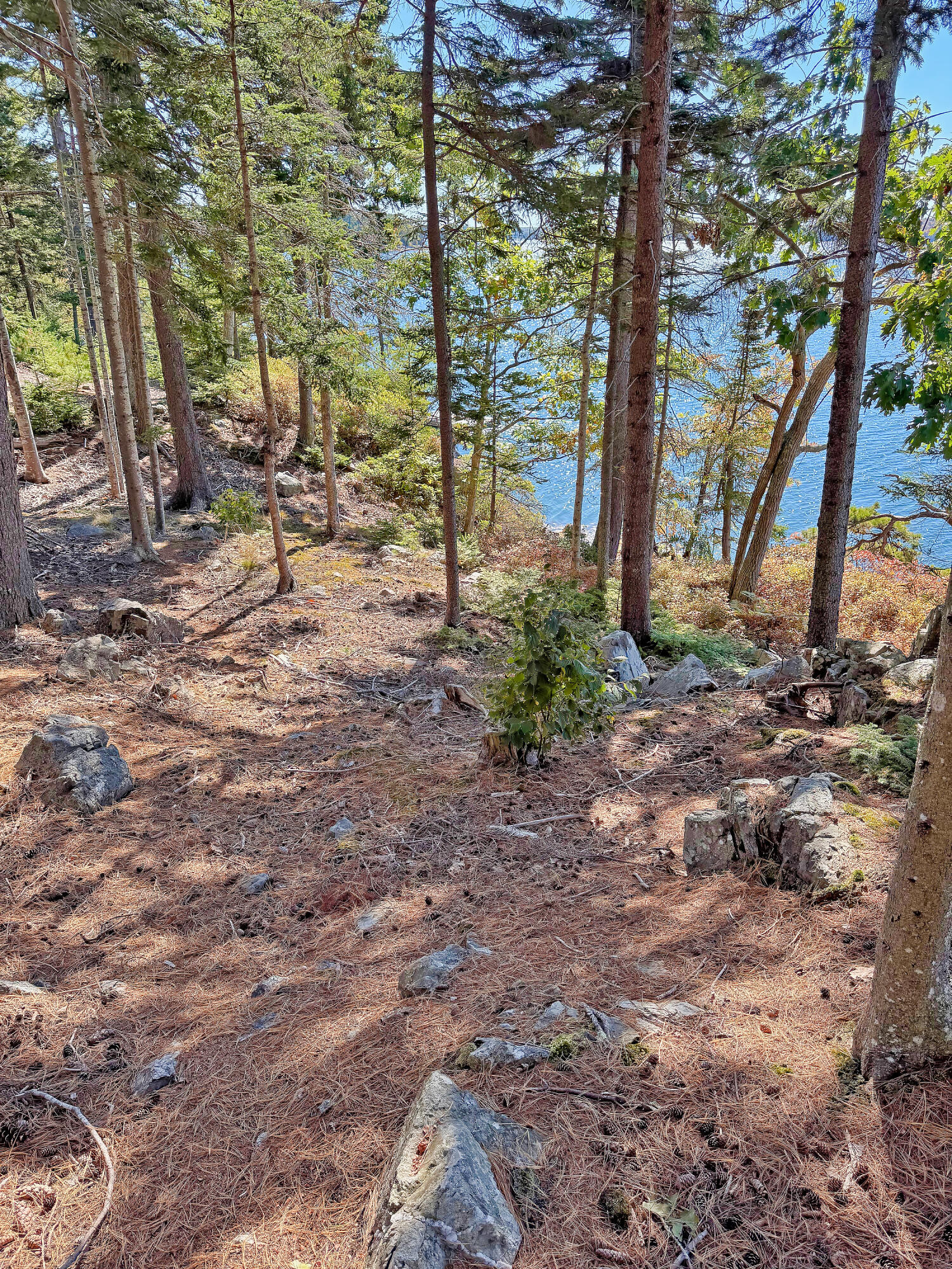 Lot 6 Sunset Road Brooksville, ME 04617 - Photo 25 of 35