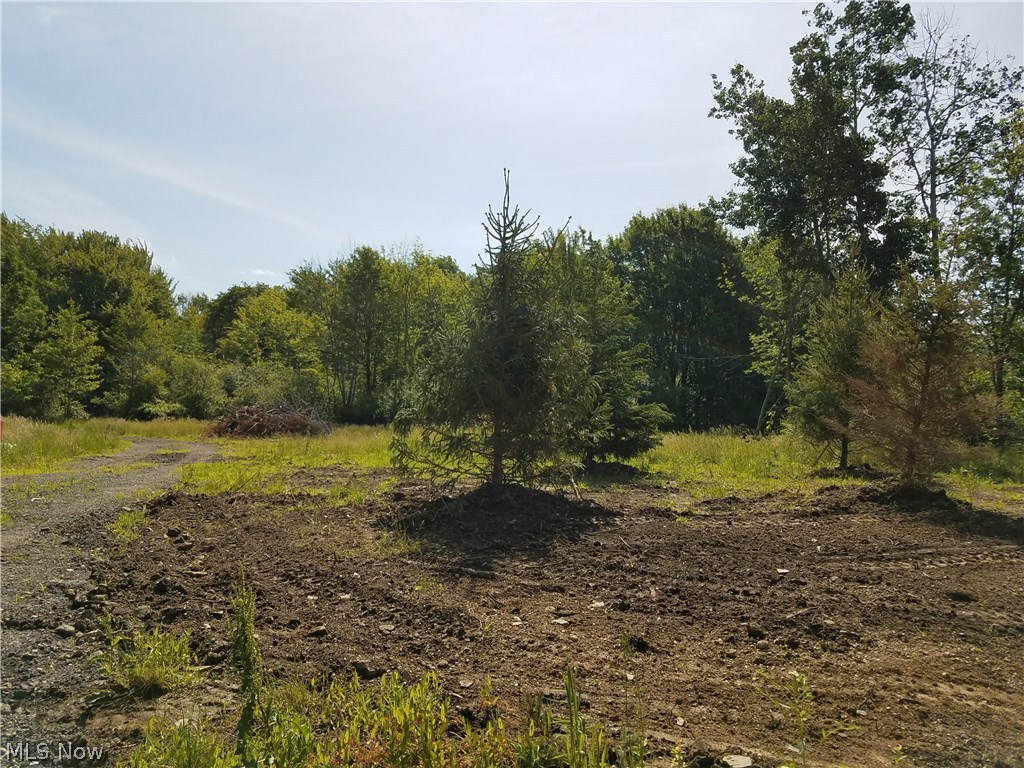 Sumner Road Thompson, OH 44086 - Photo 7 of 24
