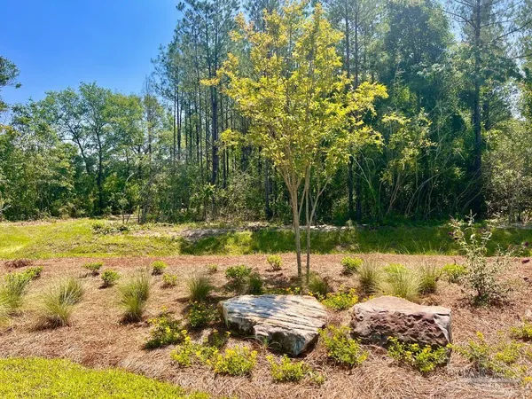 a view of a yard with plants and large trees