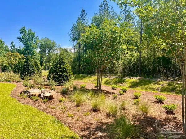 a view of a yard with trees and flowers
